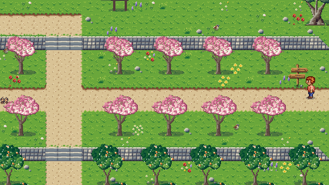 Terraced orchard rows of pink blossom trees and citrus behind low stone walls.